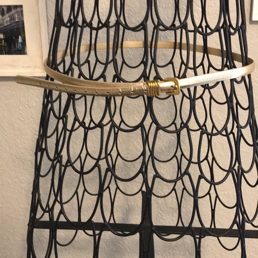 Gold Belt with Gold Hardware